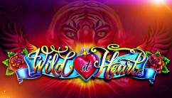 Игровой автомат Wild at Heart от Novomatic сделанный с любовью